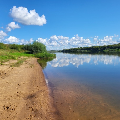 Свежесть в жаркий день